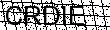 codice captcha